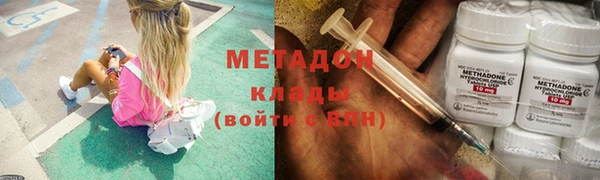 гашик Алексин