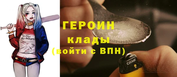 гашик Алексин