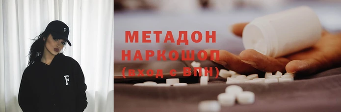 гашик Алексин