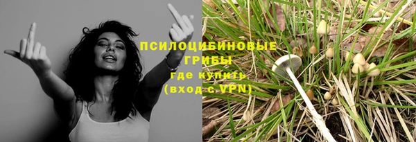 гидропоника Алзамай
