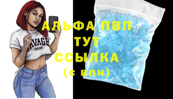 гидропоника Алзамай