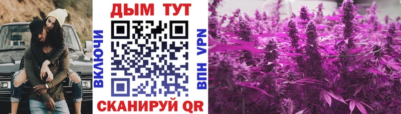 Каннабис ГИДРОПОН мориарти состав Андреаполь